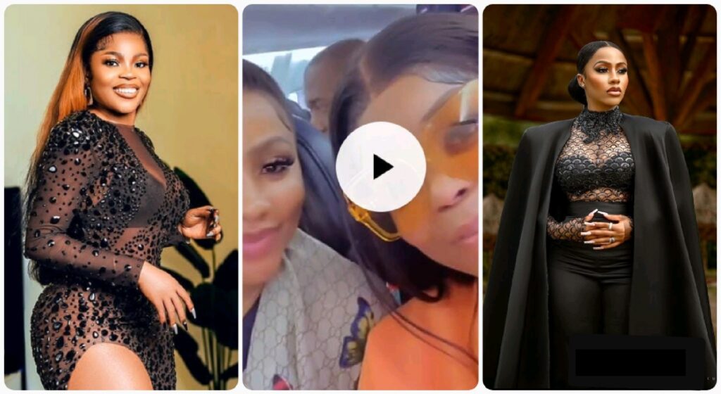 Is this first class? - Fans mock Chichi for flying economy class - Videos