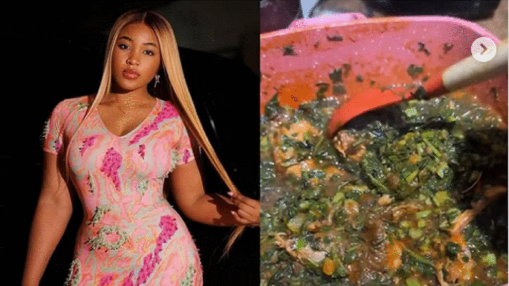 "Beyonce Doesn't Know How To Cook & She's Still A Success"- Erica Nlewedim Says After Netizens M0cked Her Vegetable Soup